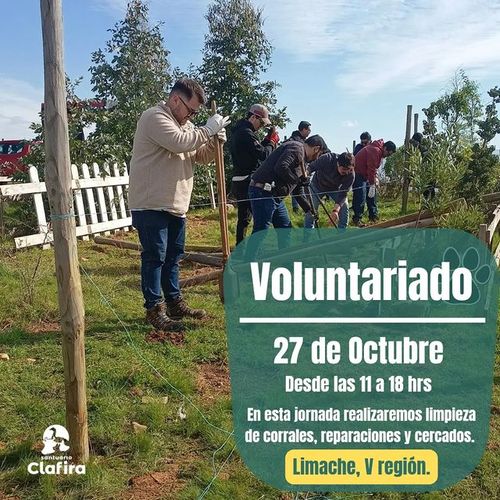 Voluntariado en Santuario Clafira.
27 de octubre, desde las 11 a 18 horas. En esta jornada realizaremos limpieza de corrales, reparaciones y cercados.
Limache, quinta región