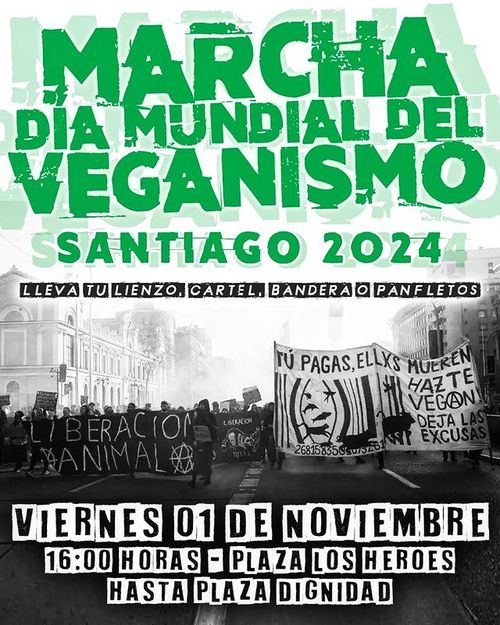 Marcha Mundial del Veganismo, Santiago 2024.
Lleva tu lienzo, cartel, bandera o panfletos.
Viernes 1 de noviembre.
16 horas, desde plaza los heroes hasta plaza dignidad